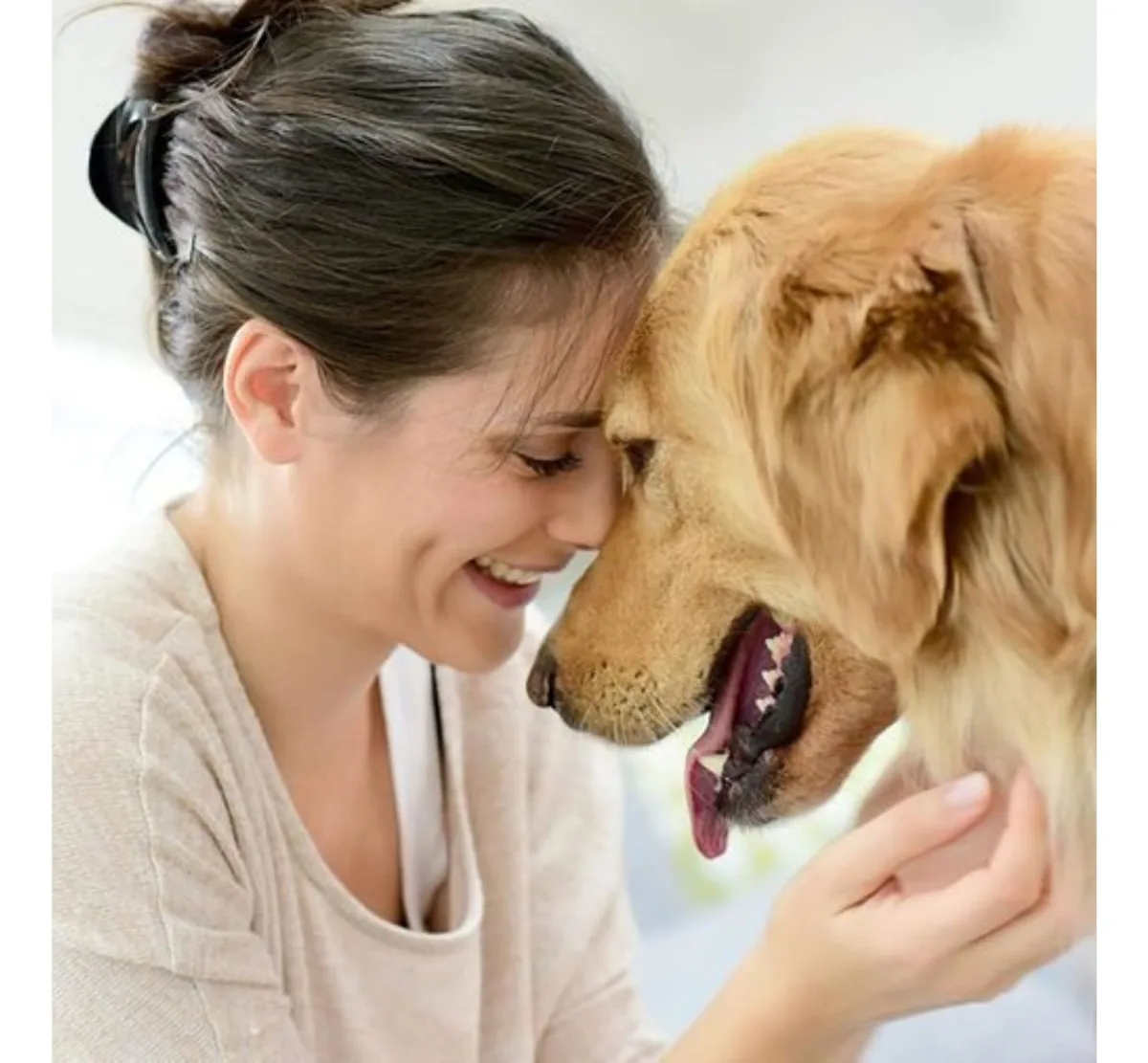 Eine Frau und ihr Hund, Stirn an Stirn