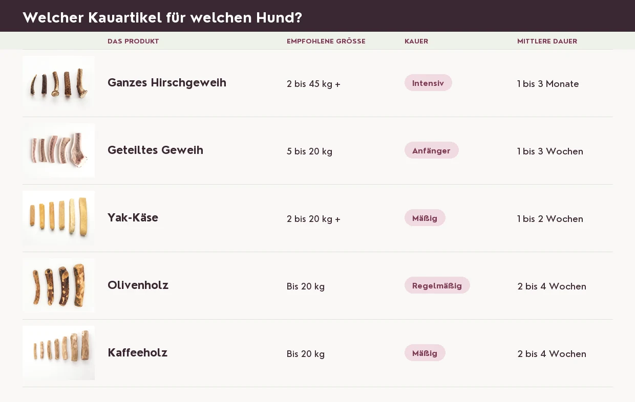 Welches Produkt für welchen Hund