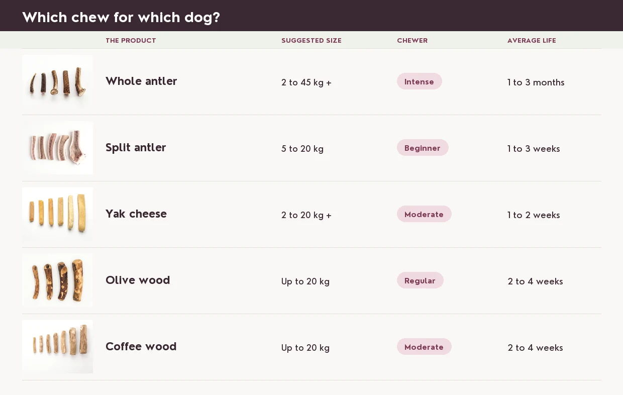 Which product for which dog