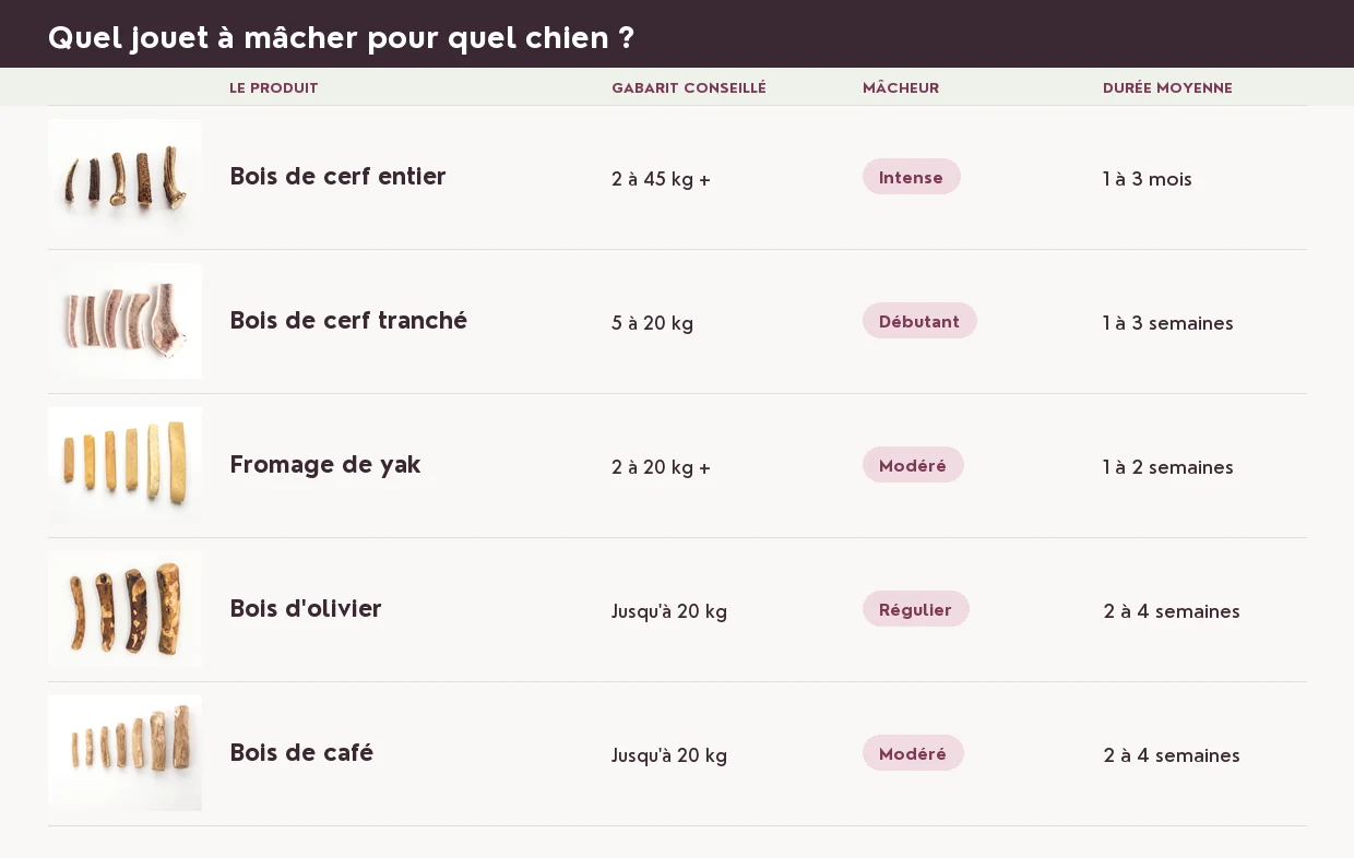Quel produit pour quel chien