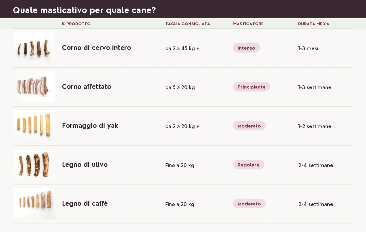 Quale prodotto per quale cane