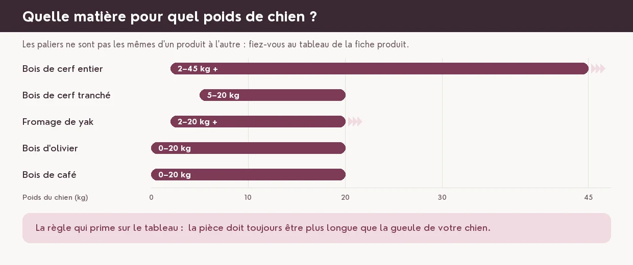 La bonne taille : la règle qui prime sur tout