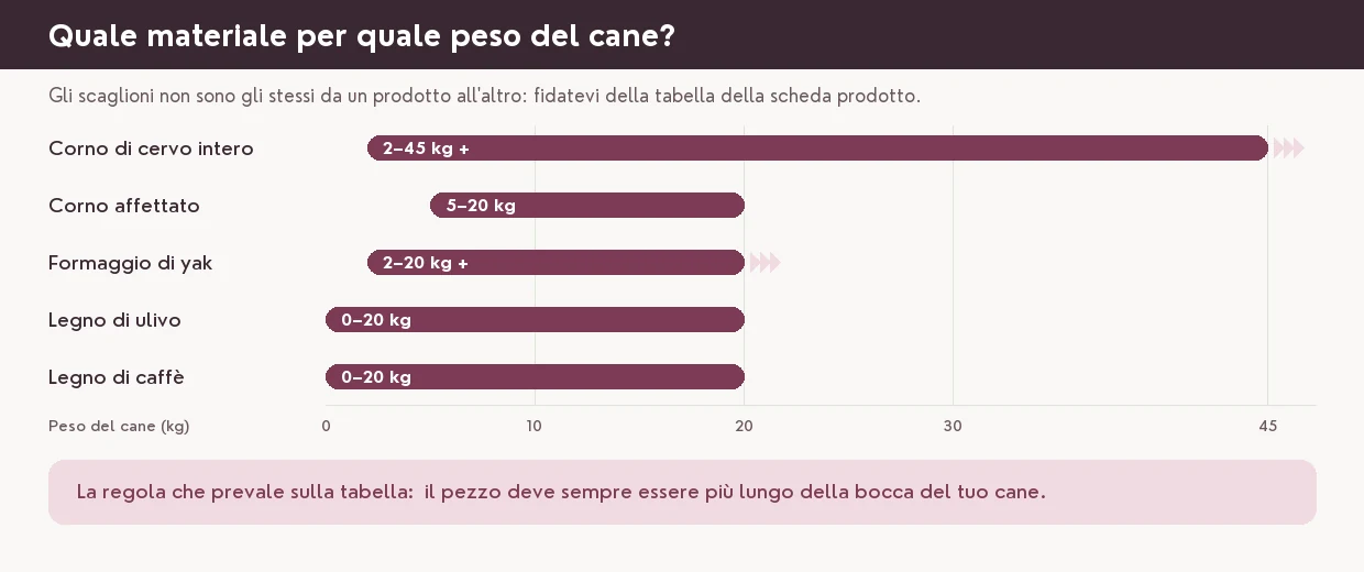 La taglia giusta: la regola che viene prima di tutto