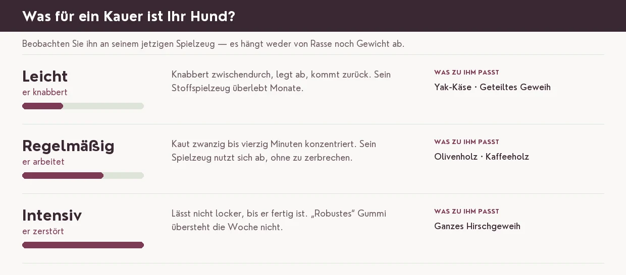 Das Temperament Ihres Hundes einschätzen