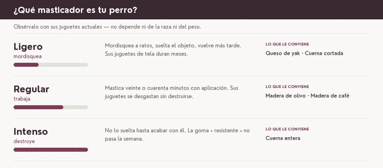 Evaluar el temperamento de tu perro