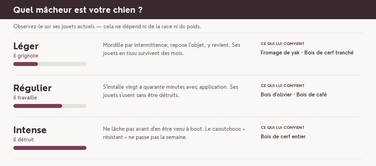 Évaluer le tempérament de votre chien