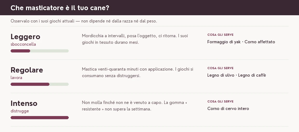 Valutare il temperamento del tuo cane