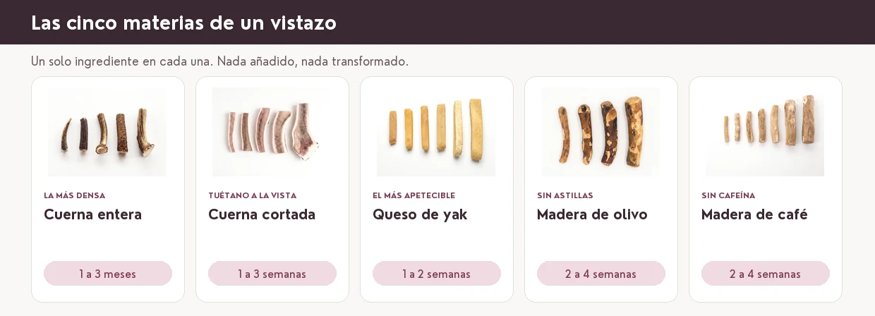 Las cinco materias de un vistazo