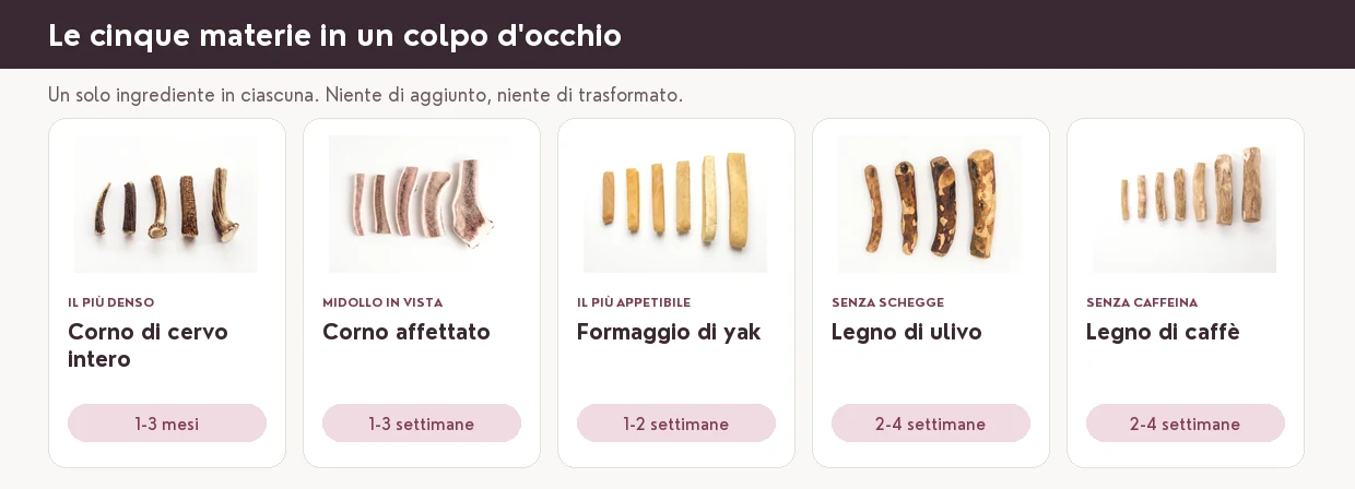 Le cinque materie in un colpo d'occhio